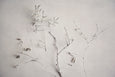Alabaster Forest - 2x Large Art prints (L)