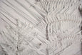 Alabaster Forest - 2x Large Art prints (L)