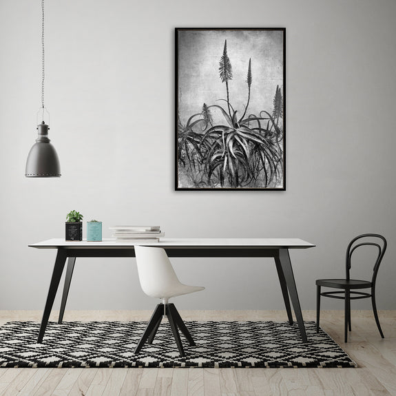 Aloe Grunge - 60x90cm Art print