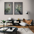 Aloes - 2x Large Art Prints