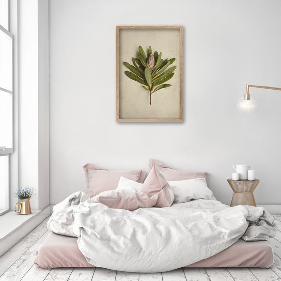 Fynbos Garden - 1x Large Art print
