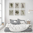 Fynbos Garden Gallery Wall - 6x A2 Art prints