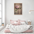 Protea Still