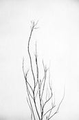 Land Ink - 2x Large Art prints