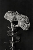 Monochrome Pins - 3x Art Prints, mixed sizes