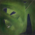 Dark Foliage - 4x Square Art prints