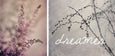 Dreamer Gallery Wall - 6x Art prints