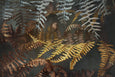 Earthy Ferns - 2x Large Art prints (L)
