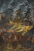 Earthy Ferns - 2x Large Art prints, set 1
