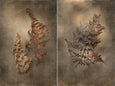 Earthy Ferns - 2x Large Art prints, set 2