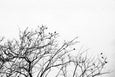Land Ink - 2x Large Art prints, set 2