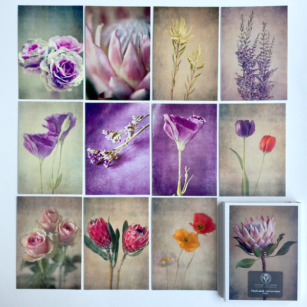 Postcard Collections - Florals