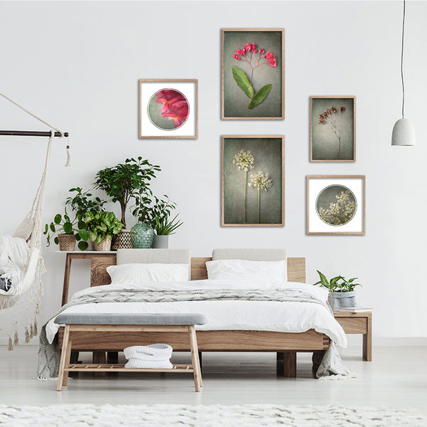 Foraged Gallery Wall - 5x Art prints