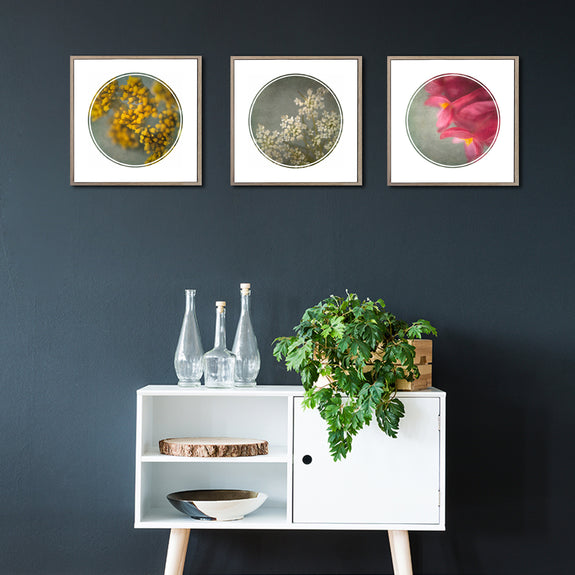 Foraged - 3x Small Square Art prints