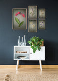 Foraged Gallery Wall - 5x Art prints, set 4