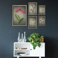 Foraged Gallery Wall - 5x Art prints, set 4
