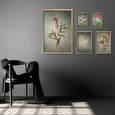 Foraged Gallery Wall - 5x Art prints, set 3