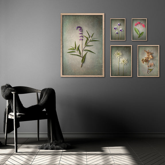 Foraged Gallery Wall - 5x Art prints, set 3
