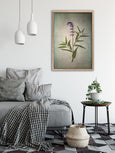 Foraged - 1x Large Art print
