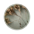 Foraged Gallery wall - 3x Art prints