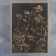 Night Garden - 2x Large Art prints, set 2