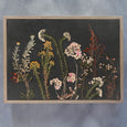 Night Garden - 2x Large Art prints (L)