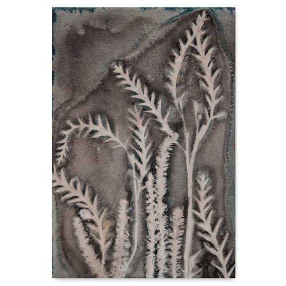 Midnight Fields 1