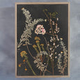 Night Garden - 2x Large Art prints, set 3