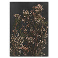 Night Garden - 2x Large Art prints, set 2