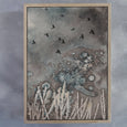 Midnight Fields 2