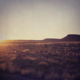 Karoo Treasures - 9x Square Art prints