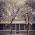 Karoo Treasures - 9x Square Art prints
