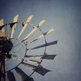 Karoo Treasures - 9x Square Art prints