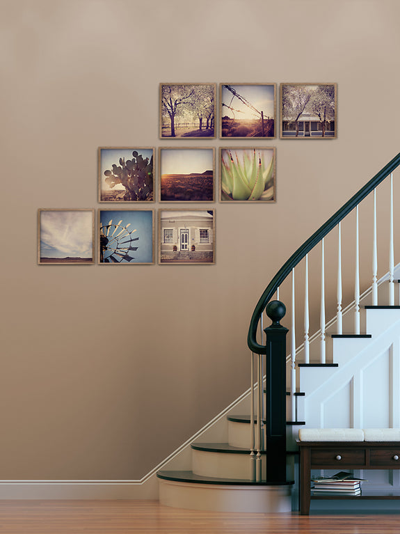 Karoo Treasures - 9x Square Art prints