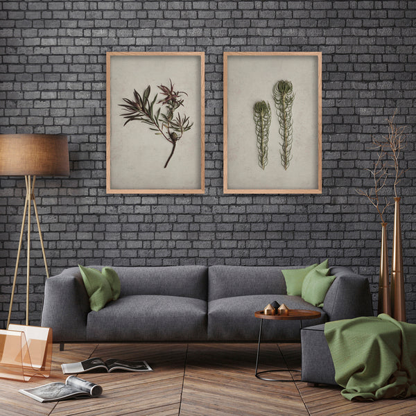 Fynbos Garden - 2x Large Art prints, set 3