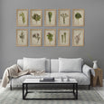 Fynbos Garden - 10x A4 Art prints