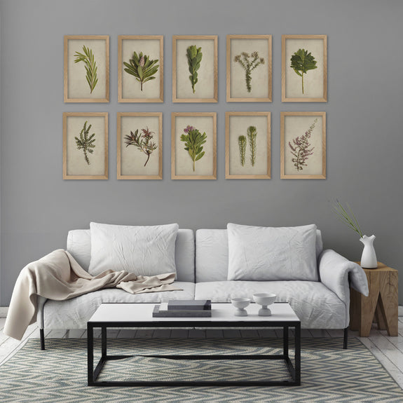 Fynbos Garden - 10x A4 Art prints