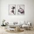 Pale Proteas 1