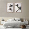 Pale Proteas - 2x Large Art Prints, set 2