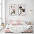Protea Anatomy - 2x Large Art Prints, set 3