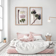 Protea Anatomy - 2x Large Art Prints, set 3
