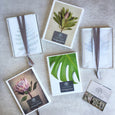 Postcard Collections - Botany Blue