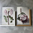 Protea Anatomy - 2x Large Art Prints, set 2