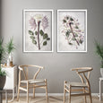 Protea Anatomy - 2x Large Art Prints, set 1