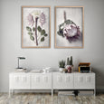 Protea Anatomy - 2x Large Art Prints, set 2
