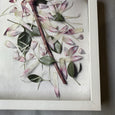 Protea Anatomy - 2x Large Art Prints, set 1