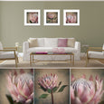 Protea Still - 3x Square Art prints, set 2