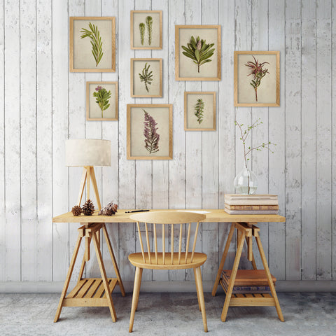 Fynbos Wall Art