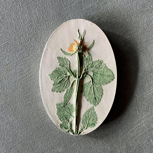 Original Botanical Cast - Mini Oval Collection - 12