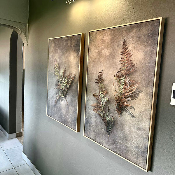 Earthy Ferns